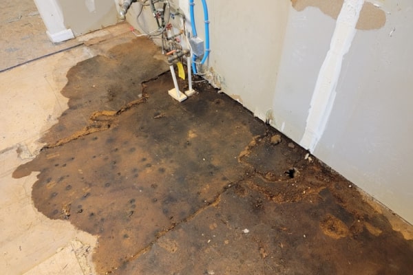 Learn More About Leak Detection and Repair Learn More About Leak Detection and Repair